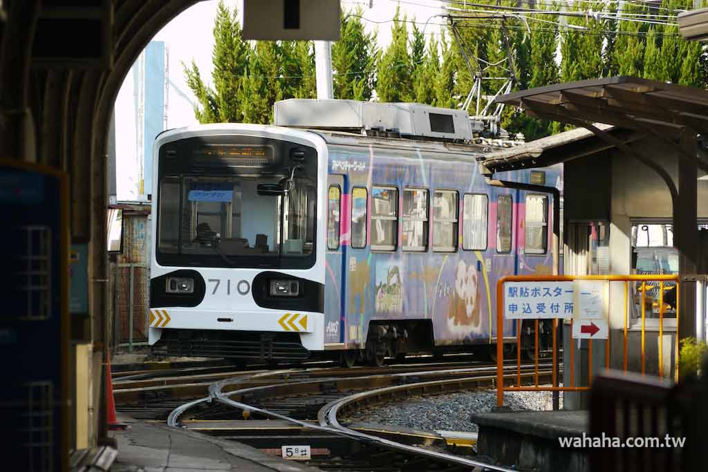 怒濤更新之路面電車(40)：阪堺電車的貓熊彩繪電車