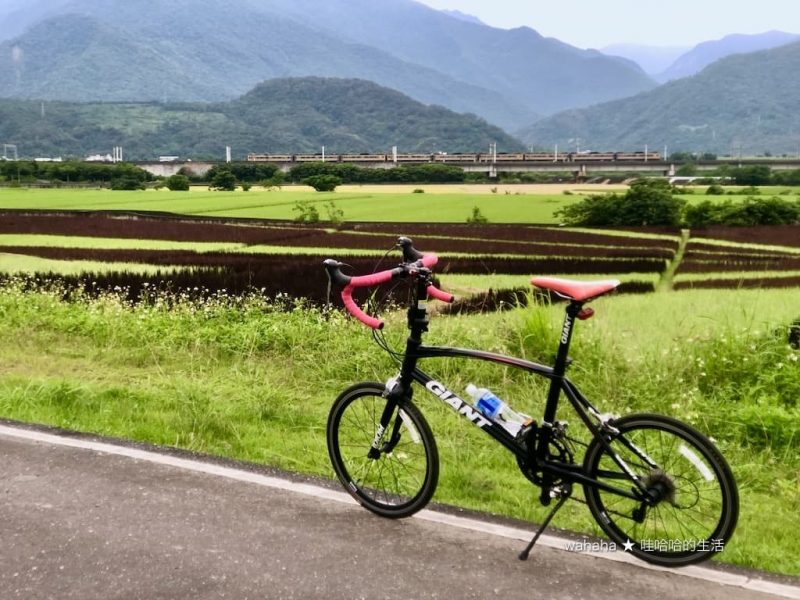2020花東旅行 – 騎單車跨越兩大板塊交界 – 花蓮玉富自行車道