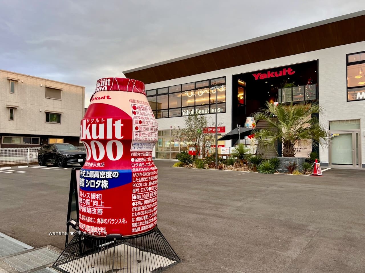 ヤクルトカフェ ゆいの杜